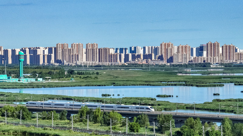 2025年8月17日，一列動(dòng)車組列車駛過大慶東站。